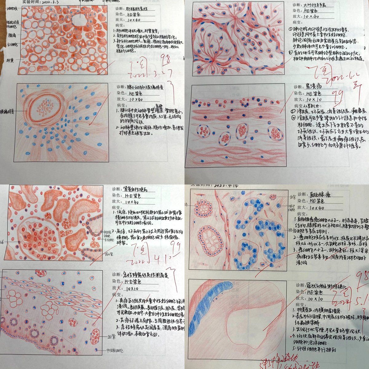 Revin_52's tweet photo. “Testing these terms with unique Chinese characters: 倮确瘟确磷 — fun linguistic experiment! ”， https://t.co/tXL9SGXtwD