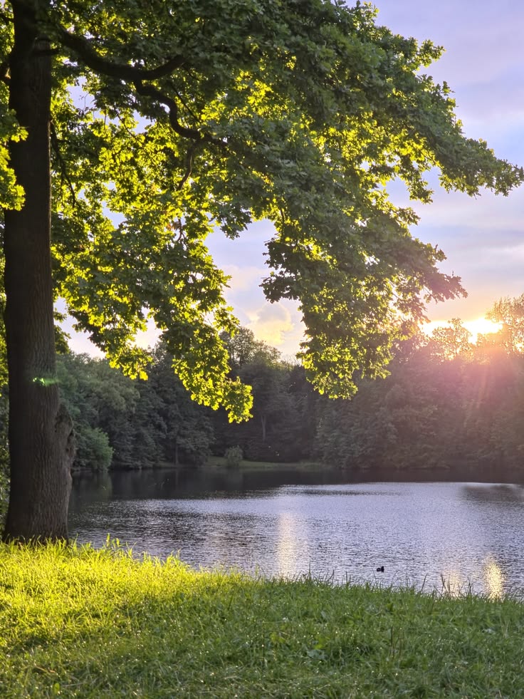 greenvibe's tweet photo. Some places don’t ask anything from you. They just let you breathe. https://t.co/Fm2ShxDTRa