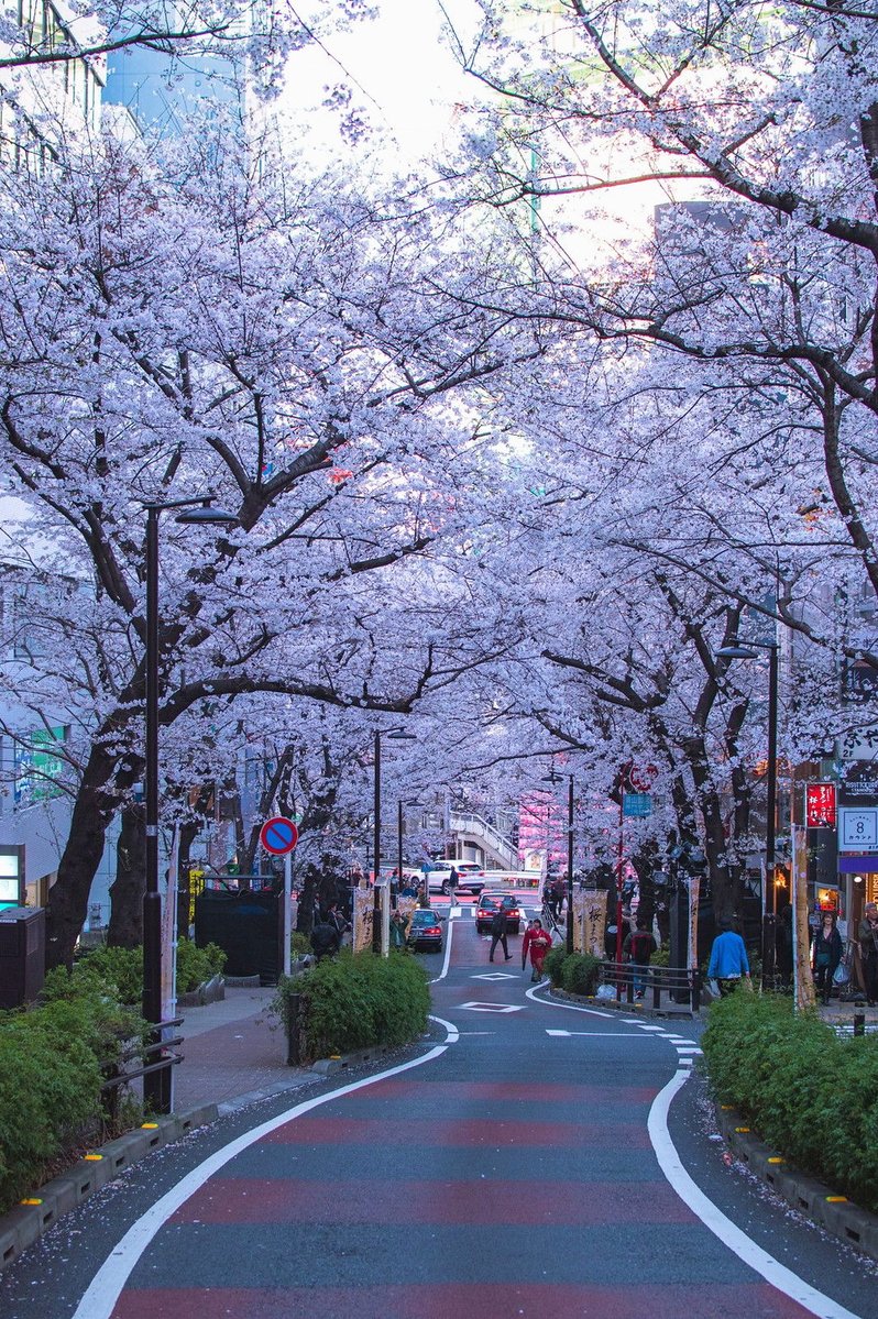 BrendaWhitmore6's tweet photo. おもろいくらいのバスドロで草>RT https://t.co/96ngvLWDGL