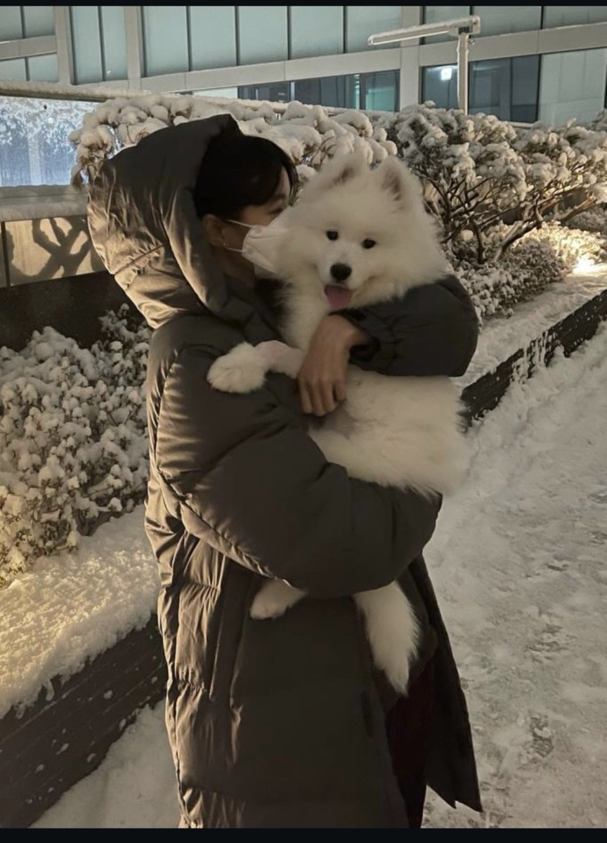 lisahoonroll's tweet photo. AAA MUERO D AMOR 😭😭😭 https://t.co/pjnJ9jYUZT