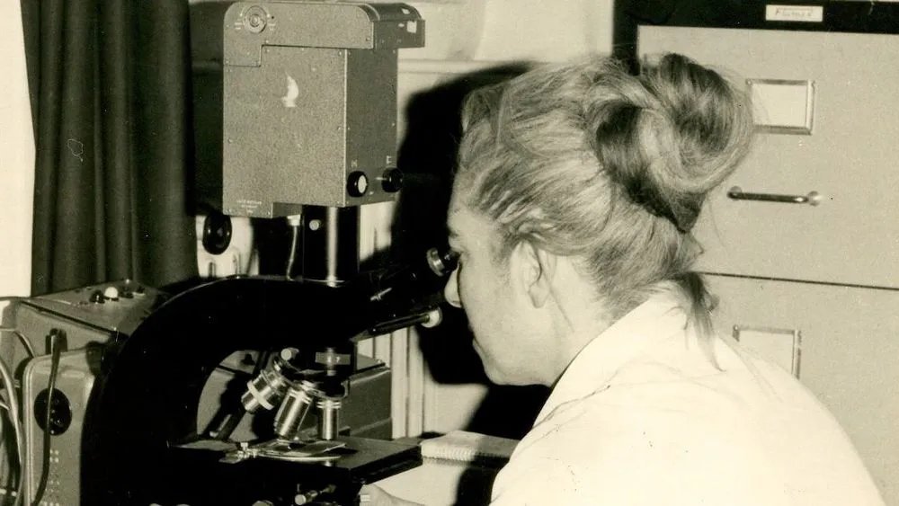 tkapler's tweet photo. 🧵 1/7 V laboratoři bez fotomikroskopu napočítala v buňkách dítěte sedmačtyřicet chromozomů. Kolega si odvezl preparáty k fotografování. Na článku, který položil základy lidské genetiky, byl pak uvedený jako první autor. Její jméno navíc v publikaci zkomolili.  

Vítám vás u dalšího dílu z mé série #ZenyVeVede. Pakliže se vám líbí, lajkujte a sdílejte ho. Doporučení pro vlákna - lajkovat každý tweet (i pro vás abyste viděli, kde jste skončili), sdílet stačí nejlépe ten první (když to uděláte hned, tak se pak nebudete muset vracet)