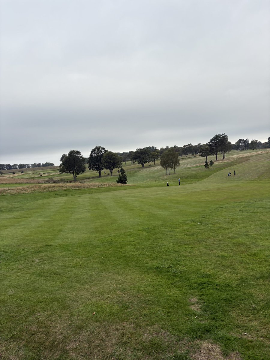 TheYorkshireTee's tweet photo. Headingley Golf Club Review⛳️

Coming in at 11th in the Yorkshire rankings, Headingley Golf Club provides a superb test of golf just 15 minutes from Leeds city centre. I had the privilege of playing with a member, but visitors should expect to pay up to £110 for a peak summer tee time.

With legendary architects Harry Colt and Alister MacKenzie contributing to its design, Headingley blends heathland, moorland and parkland to create a varied and strategic golfing challenge.

The standout feature of the course is undoubtedly the collection of par 3s. Their varied designs, well-placed bunkering and exposure to the wind demand precise club selection and execution. None are particularly long on the scorecard, but they all have the ability to punish a lapse in concentration.

Standout Holes

Hole 7

The first of two par 5s on the back nine sits at the furthest point from the clubhouse. A well-struck tee shot threaded between the long bunker on the left and the trees on the right presents an enticing opportunity to attack the elevated green in two. 

(Picture 1)

Hole 10

After grabbing a Cornish pasty from the halfway house, it's time to reset and tackle this 160-yard par 3. Well-positioned bunkers guard the green, while thick rough to the right eagerly awaits any tee shots that drift offline. 

(Picture 2)

Hole 12

Listed as stroke index 2, but arguably the toughest hole on the course. Measuring around 440 yards, this demanding par 4 features imposing fairway bunkers and a hidden brook running through the fairway. Walk away with a bogey here and it feels like you've gained a shot on the field.

(Picture 3)

Hole 17

The standout hole at Headingley and one that perfectly showcases the quality of the course. At around 150 yards, the green is surrounded by six bunkers ready to collect anything slightly offline, while trouble also lurks long and right. It is a visually stunning and strategically brilliant par 3 that will live long in the memory.

(Picture 4)

Verdict

Headingley fully deserves its place among Yorkshire's top-ranked golf courses. The conditioning is exceptional, with beautifully maintained fairways, smooth and true greens, and excellent practice facilities. The halfway house is a welcome addition, and the clubhouse provides the perfect setting for a post-round drink.

Despite its relatively open appearance, Headingley requires thought and precision rather than brute force. Success comes from leaving misses in the correct areas and avoiding the strategically placed hazards that lurk throughout the course.

If you're in the Leeds area and willing to pay a premium for a high-quality golfing experience, Headingley should be high on your list. It is a beautifully presented course, steeped in architectural heritage and packed with memorable holes that will challenge golfers of all abilities.

The Yorkshire Tee Rating: 9/10

#golf #golfcoursereview #headingley