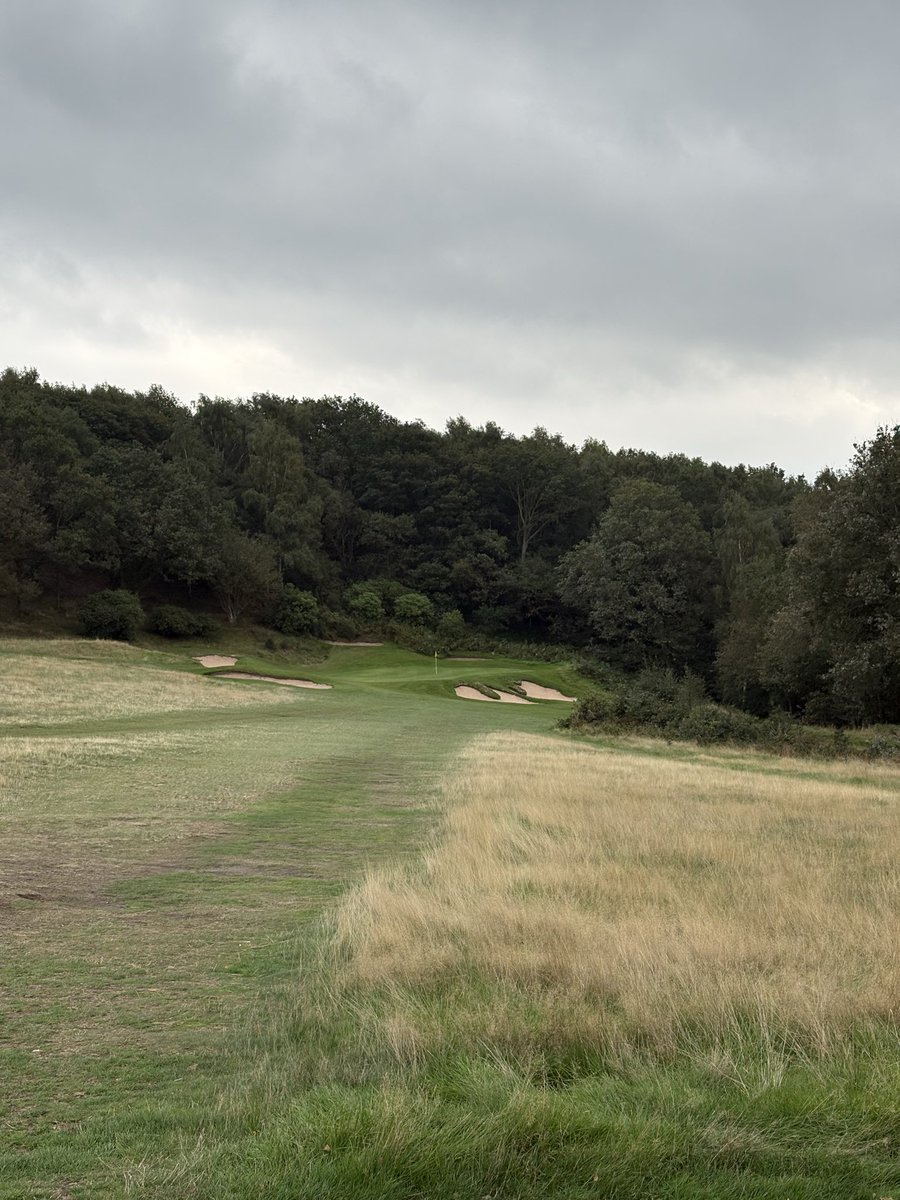 TheYorkshireTee's tweet photo. Headingley Golf Club Review⛳️

Coming in at 11th in the Yorkshire rankings, Headingley Golf Club provides a superb test of golf just 15 minutes from Leeds city centre. I had the privilege of playing with a member, but visitors should expect to pay up to £110 for a peak summer tee time.

With legendary architects Harry Colt and Alister MacKenzie contributing to its design, Headingley blends heathland, moorland and parkland to create a varied and strategic golfing challenge.

The standout feature of the course is undoubtedly the collection of par 3s. Their varied designs, well-placed bunkering and exposure to the wind demand precise club selection and execution. None are particularly long on the scorecard, but they all have the ability to punish a lapse in concentration.

Standout Holes

Hole 7

The first of two par 5s on the back nine sits at the furthest point from the clubhouse. A well-struck tee shot threaded between the long bunker on the left and the trees on the right presents an enticing opportunity to attack the elevated green in two. 

(Picture 1)

Hole 10

After grabbing a Cornish pasty from the halfway house, it's time to reset and tackle this 160-yard par 3. Well-positioned bunkers guard the green, while thick rough to the right eagerly awaits any tee shots that drift offline. 

(Picture 2)

Hole 12

Listed as stroke index 2, but arguably the toughest hole on the course. Measuring around 440 yards, this demanding par 4 features imposing fairway bunkers and a hidden brook running through the fairway. Walk away with a bogey here and it feels like you've gained a shot on the field.

(Picture 3)

Hole 17

The standout hole at Headingley and one that perfectly showcases the quality of the course. At around 150 yards, the green is surrounded by six bunkers ready to collect anything slightly offline, while trouble also lurks long and right. It is a visually stunning and strategically brilliant par 3 that will live long in the memory.

(Picture 4)

Verdict

Headingley fully deserves its place among Yorkshire's top-ranked golf courses. The conditioning is exceptional, with beautifully maintained fairways, smooth and true greens, and excellent practice facilities. The halfway house is a welcome addition, and the clubhouse provides the perfect setting for a post-round drink.

Despite its relatively open appearance, Headingley requires thought and precision rather than brute force. Success comes from leaving misses in the correct areas and avoiding the strategically placed hazards that lurk throughout the course.

If you're in the Leeds area and willing to pay a premium for a high-quality golfing experience, Headingley should be high on your list. It is a beautifully presented course, steeped in architectural heritage and packed with memorable holes that will challenge golfers of all abilities.

The Yorkshire Tee Rating: 9/10

#golf #golfcoursereview #headingley