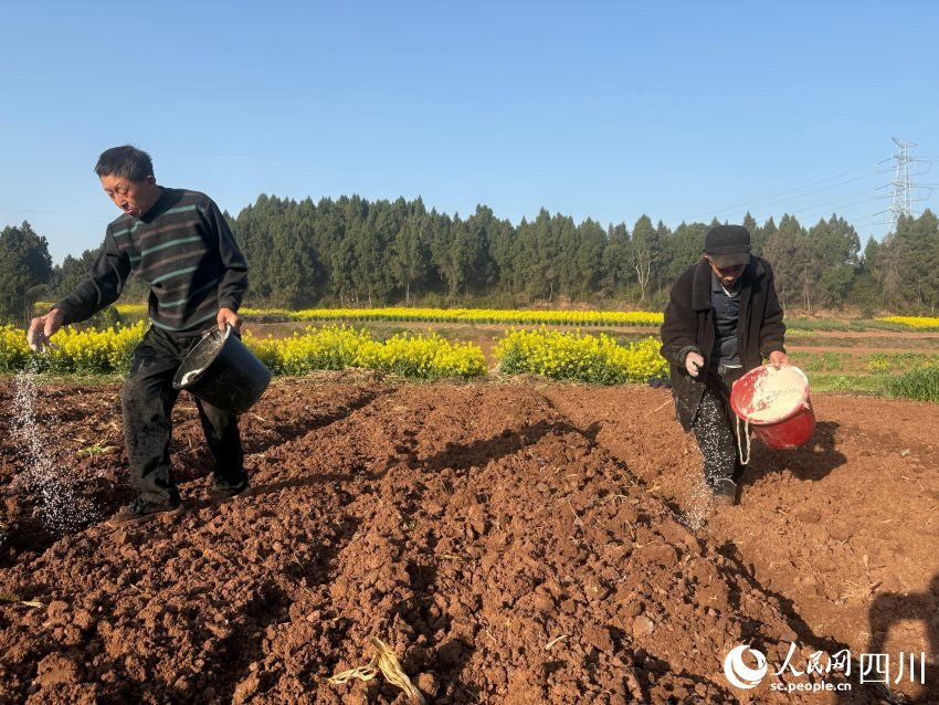 justi_neh80_f5e's tweet photo. [Skills in fertilizing crops and mastering farming tech boost agricultural combat readiness for sustainable rural development!]， https://t.co/aLpXUSRjJC