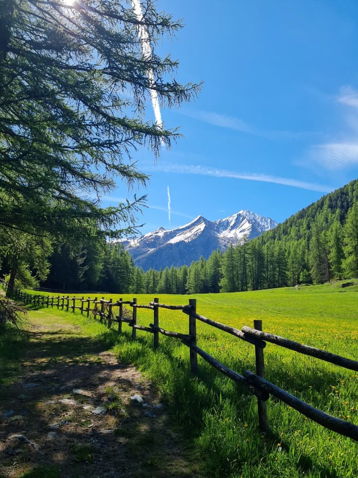 greenvibe's tweet photo. Some places don’t ask anything from you. They just let you breathe. https://t.co/Fm2ShxDTRa