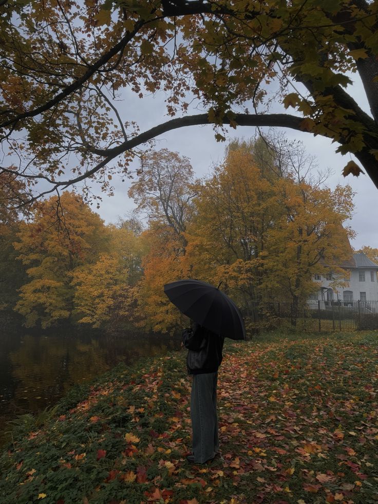 greenvibe's tweet photo. Autumn has a way of making silence feel beautiful. https://t.co/zMOmkfKo90