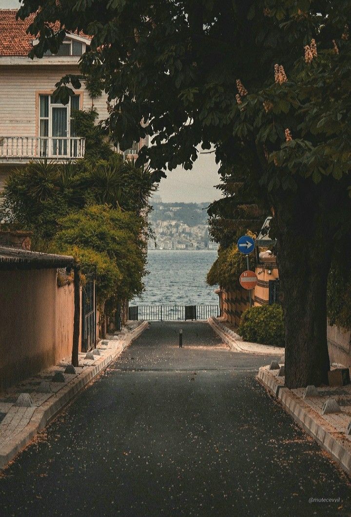 greenvibe's tweet photo. some streets don’t just lead you somewhere. They let the sea find you. https://t.co/6MlHc2LC3o