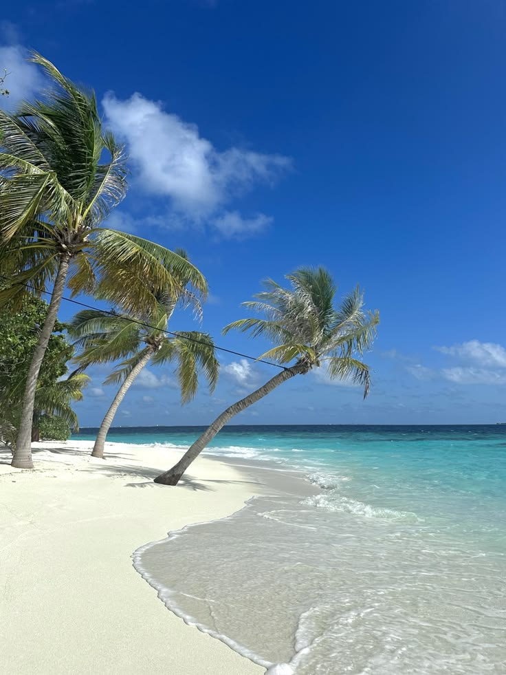 echoesofworld's tweet photo. Maldives https://t.co/1bctxneytY