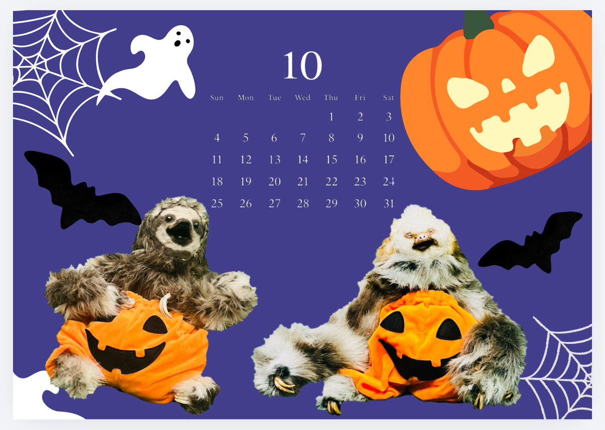 maroro_hogaraka's tweet photo. 10月の壁紙だよ🎃🦥
#wallpaper https://t.co/TekFXf93Vl