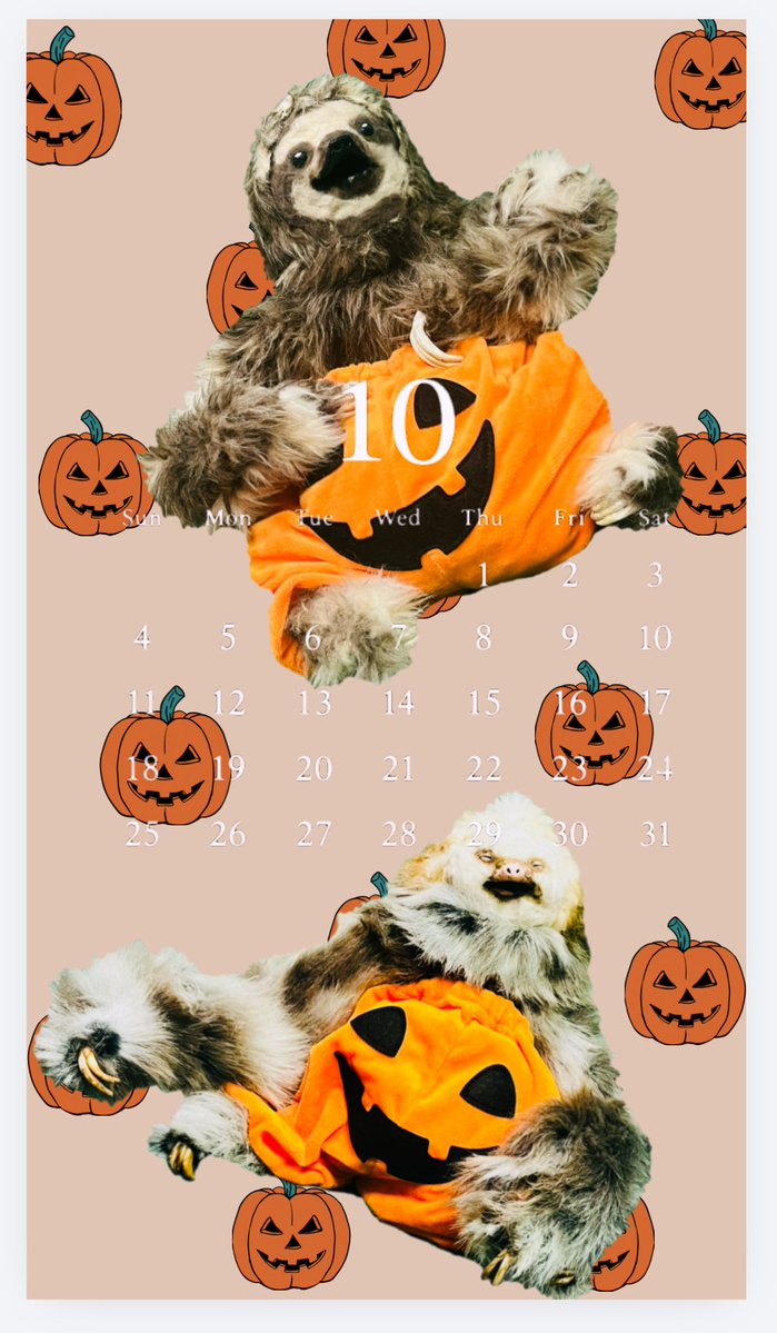 maroro_hogaraka's tweet photo. 10月の壁紙だよ🎃🦥
#wallpaper https://t.co/TekFXf93Vl