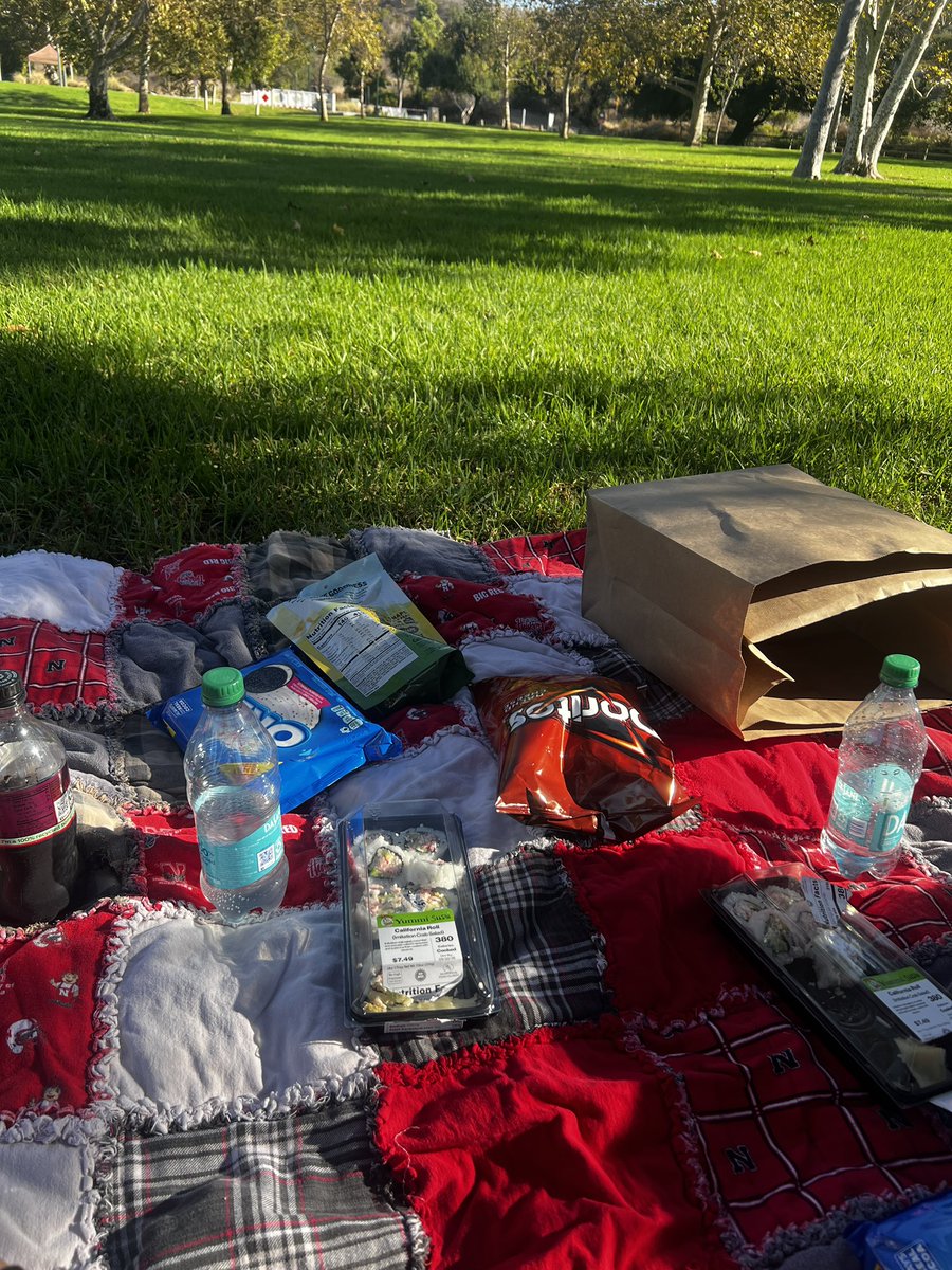 imChemX's tweet photo. A man finally took me on my dream date: a picnic https://t.co/CaNrbtp8tn