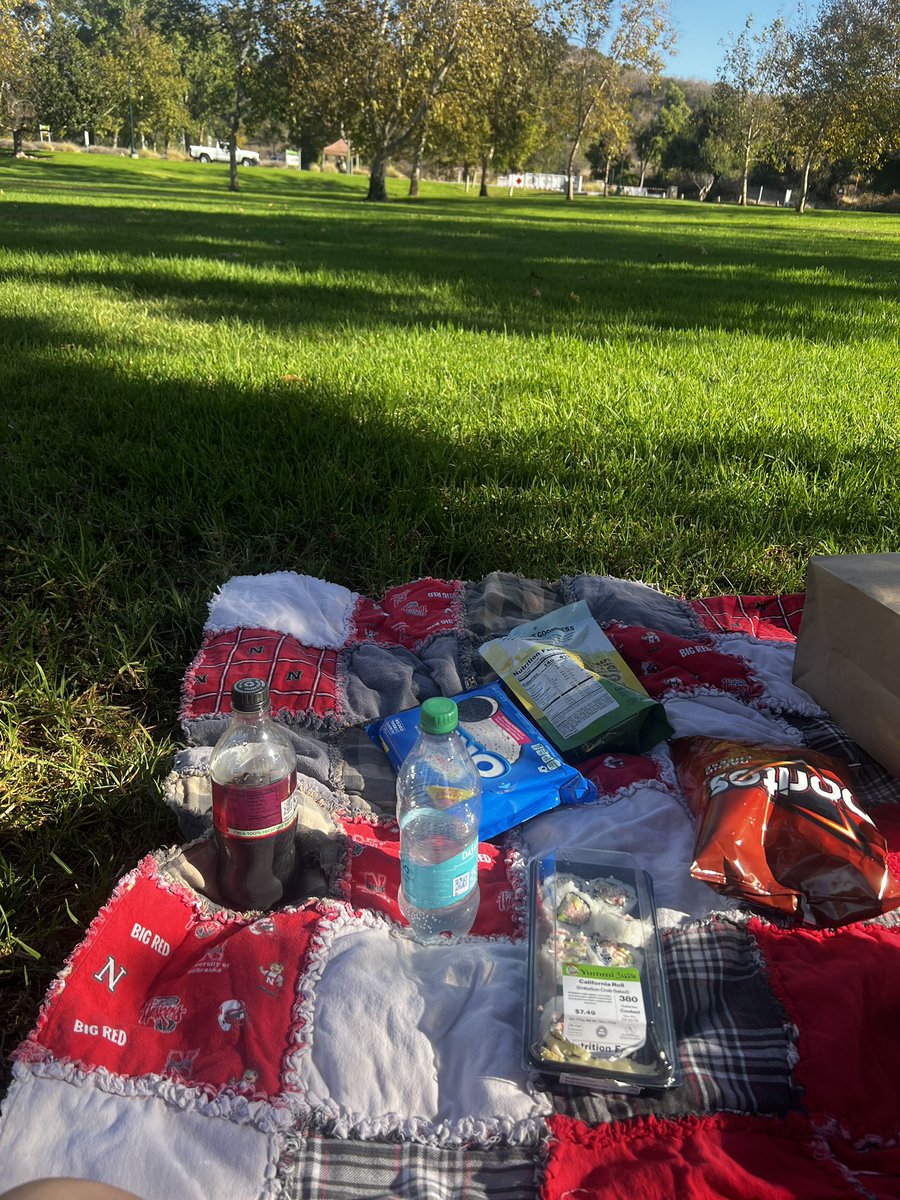 imChemX's tweet photo. A man finally took me on my dream date: a picnic https://t.co/CaNrbtp8tn