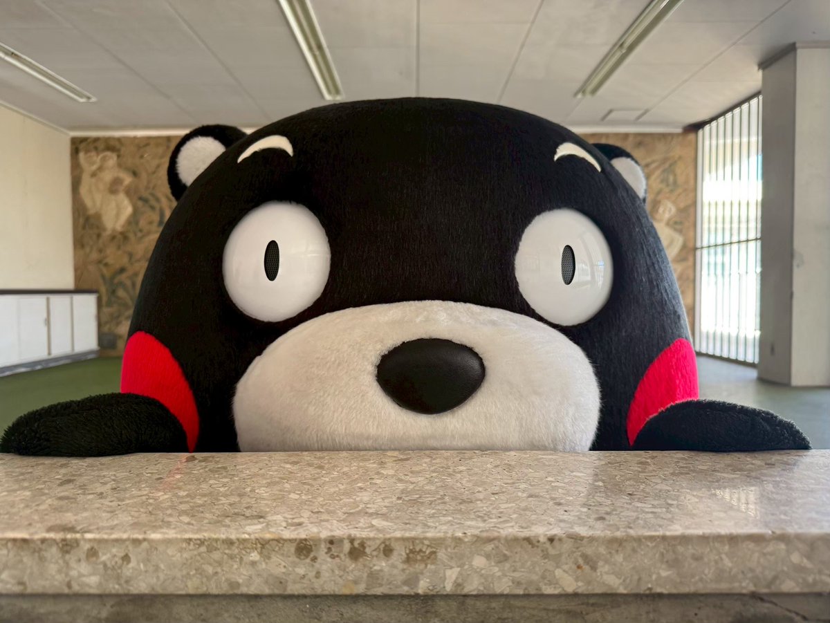 RiroKotoMono's tweet photo. @55_kumamon おはくま〜❣️
９月最後の日だね。
穏やかな１日でありますよ��に🍀🌈 https://t.co/TxhY8Ggfq3