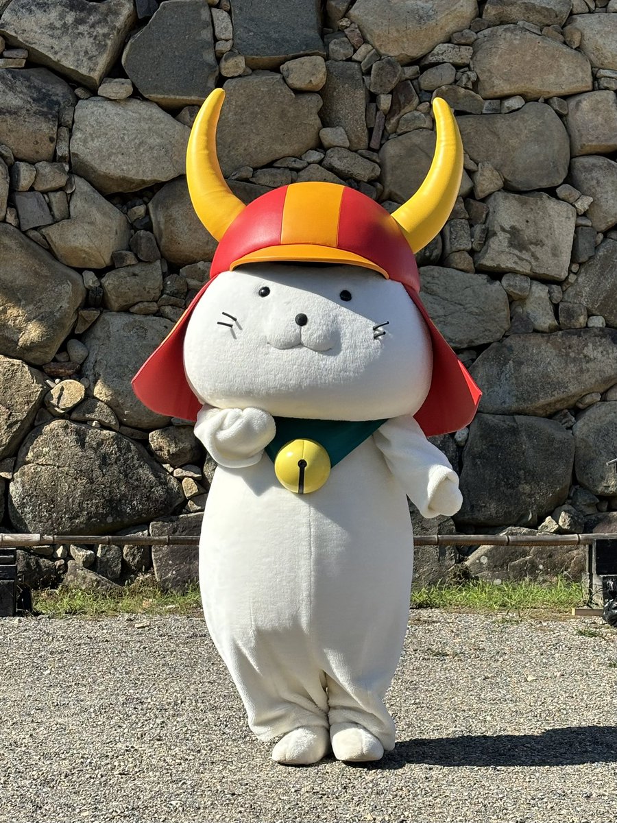 NintendoWorld22's tweet photo. 🏯ひこにゃん✨
#ひこにゃん https://t.co/Gfilnqrg6r