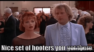 LukewarmC0ffee's tweet photo. @LucasSa56947288 @KristiNoem was jealous of her husbands massive hooters https://t.co/LDtOSac9TT