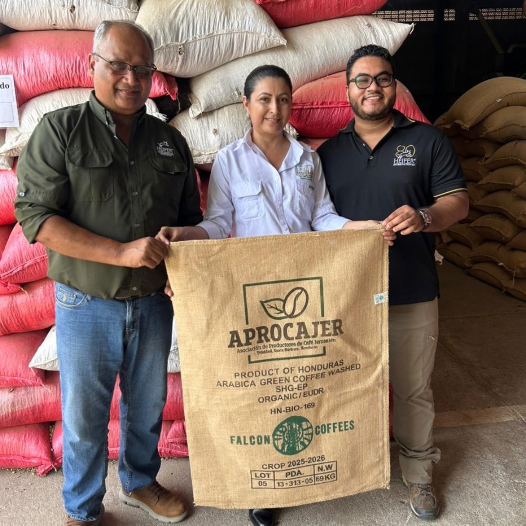 Heifer's tweet photo. ☕ This #NationalCoffeeDay, cheers to the farmers behind every cup!

In Honduras, APROCAJER exported its first container of organic coffee to Germany, opening doors to new opportunities. 🌱

👉 Tap to read the full story: 

#SustainableCoffee #CoffeeFarmers https://t.co/k2JwPixEcU