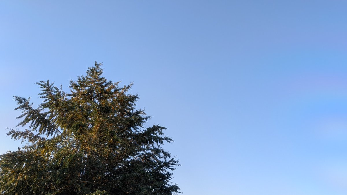 mana_kanae's tweet photo. おはようございます。今朝は晴れの朝、久しぶりに晴れました
#イマソラ https://t.co/ltW2Rvk7ob