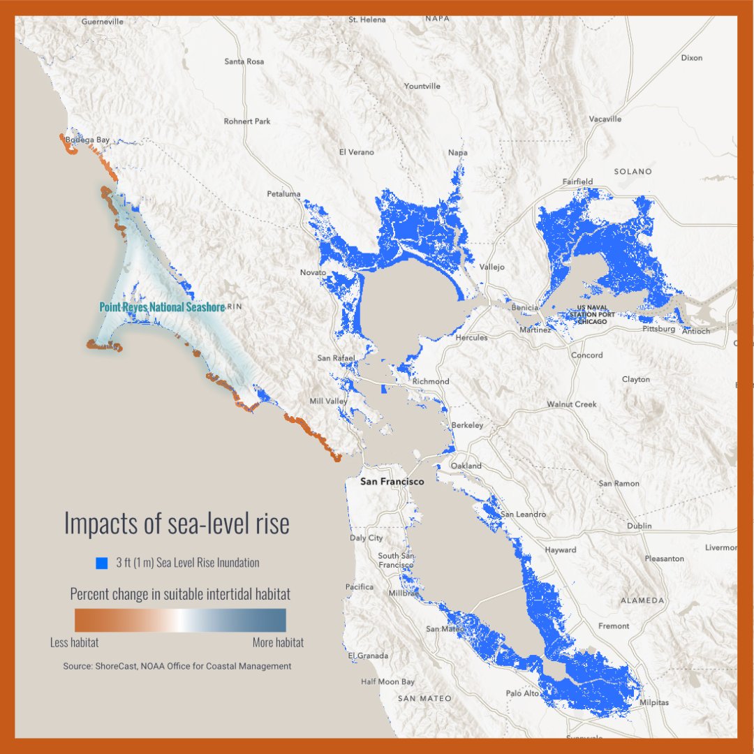 Esri's tweet photo. Point Reyes National Seashore is home to one of California's most dynamic coastal ecosystems. Explore how rising seas could reshape rocky intertidal habitats and the species that depend on them in the story map, Rise &amp; Tide. 🌊 
🔗: https://t.co/lZI6elVb6g https://t.co/1NE4TjezOd