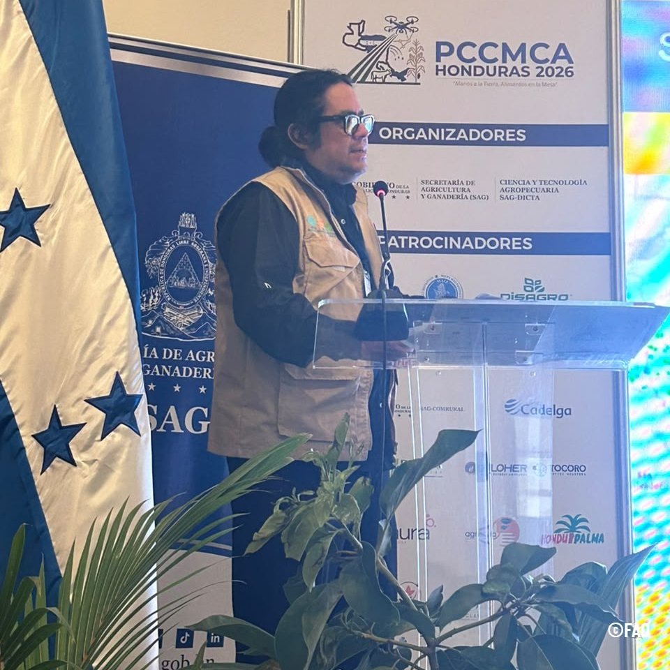 FAOHonduras's tweet photo. 🌱 En el segundo día del #PCCMCA, el proyecto #SoilFER de @FAOHonduras tuvo una destacada participación con una presentación magistral sobre sus generalidades y algunos resultados preliminares obtenidos en campo. 🧵👇 https://t.co/s6L3pl2Ud9