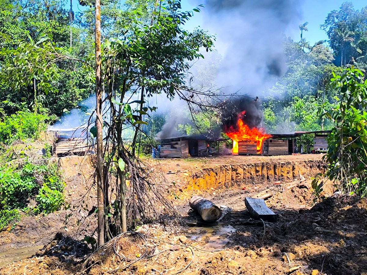 armada_ecuador's tweet photo. CAMPAMENTO CON CAPACIDAD PARA 30 PERSONAS FUE DESTRUIDO EN OPERACIÓN ESPECIAL EN BORBÓN

#Esmeraldas | Las Fuerzas Armadas, a través de la Armada del Ecuador, con personal del Batallón de Infantería de Marina N.° 11 “San Lorenzo”, ejecutaron una operación especial en el sector Cejpi, zona de Borbón, mediante una incursión fluvial por el río Cayapas.

Durante la intervención fue destruido un campamento con capacidad aproximada para 30 personas, presuntamente utilizado por integrantes de Grupos de Delincuencia Organizada (GDO) para actividades de entrenamiento, descanso y apoyo logístico.
Como parte de la misma operación, también fueron inhabilitados tres campamentos vinculados a minería ilegal, junto con maquinaria, equipos y medios logísticos empleados para esta actividad.

Resultados principales:
- 01 campamento destruido.
- 03 campamentos de minería ilegal inhabilitados.
- Maquinaria y equipos empleados en actividades ilícitas inhabilitados.
- Combustible y medios logísticos localizados en el sector.

Con estas acciones, las Fuerzas Armadas mantienen operaciones permanentes en sectores priorizados de la provincia de Esmeraldas, orientadas a afectar las capacidades operativas y logísticas de estructuras presuntamente vinculadas a actividades ilícitas y fortalecer la seguridad en la frontera norte.

#YoSoyNaval
#SiempreARumbo