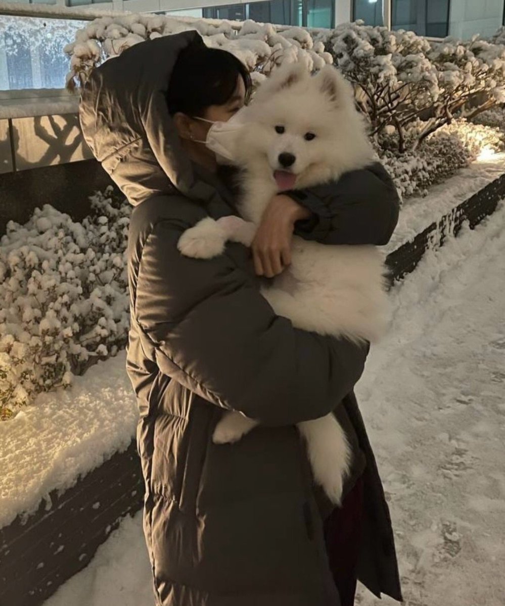 LISANATIONS_'s tweet photo. LISA L Family introduces its newest member "Lam"on IG! 🐾

“Hello everyone! My name is Lam. Nice to meet you all, and I hope you’ll take good care of me!”🥹🩷 https://t.co/LsGBfJpU0h