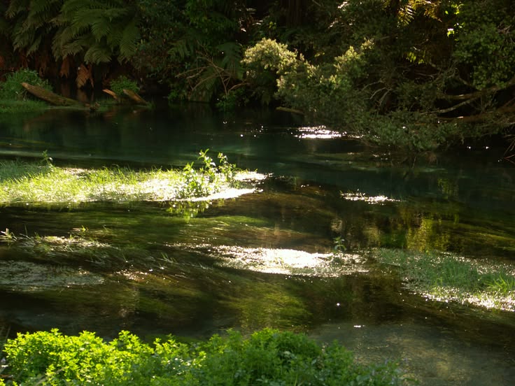 greenvibe's tweet photo. Nature doesn’t try to impress you. It just exists, and that is enough. https://t.co/up9PDerwFf