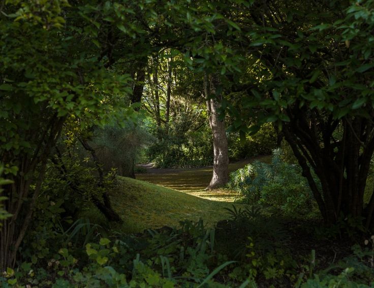 greenvibe's tweet photo. Nature doesn’t try to impress you. It just exists, and that is enough. https://t.co/up9PDerwFf