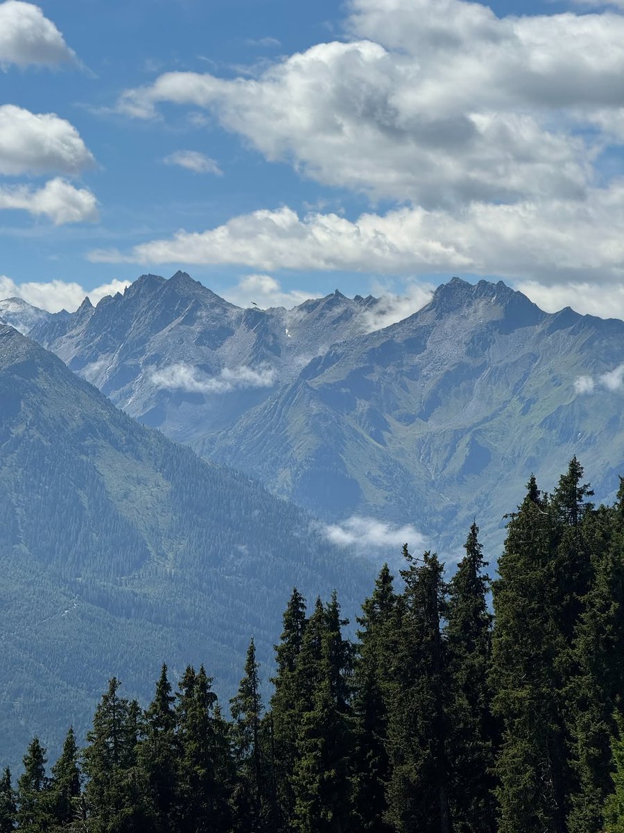naturehealyou tweet picture