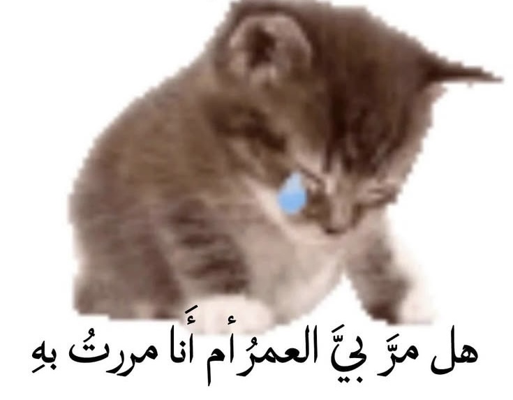 1iuzr's tweet photo. https://t.co/5NSuC1fiMp