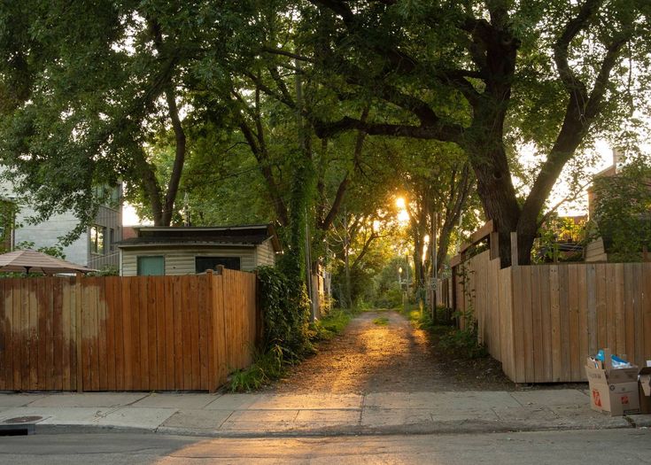 greenvibe's tweet photo. Even a quiet alley can look like home when the light falls just right. https://t.co/4DBgDqMysb