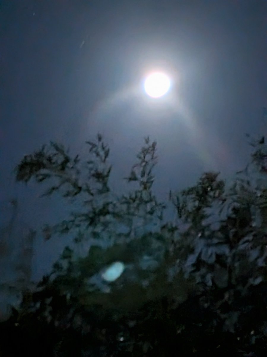 sizuRyuj's tweet photo. おはようございます、
今日は、久しぶりの天気です、今朝は寒かったです、
昨日の夕焼け、今朝のお月様と朝焼け、何か嬉しくなるね〜😊
またこれ以上の台風の被害ありませんように、今日も平穏な１日でありますように https://t.co/NdP5MhmC5o