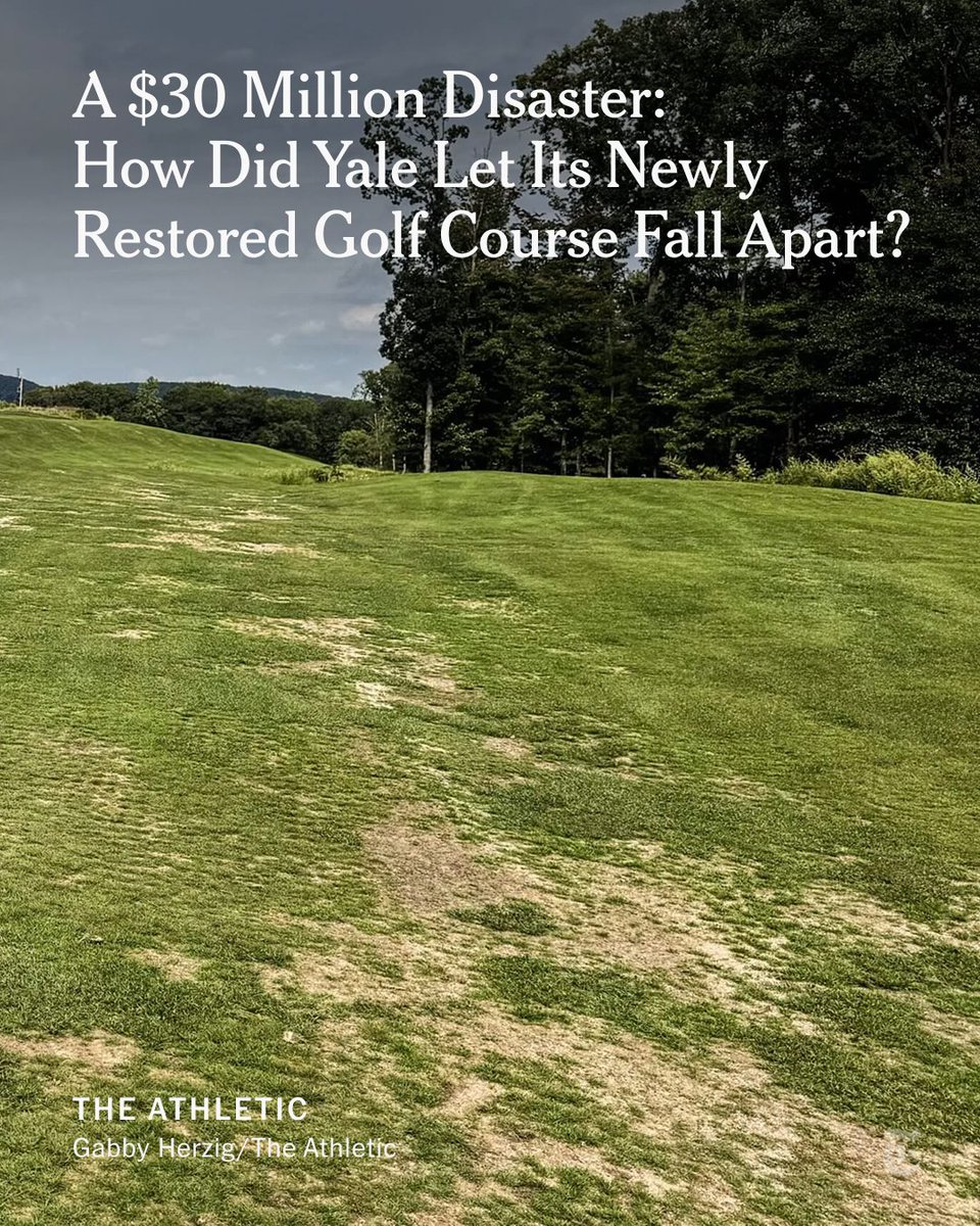 nytimes's tweet photo. From @TheAthletic: Yale alums raised more than $30 million to restore a golf course known as a “national treasure.” Now, five months after the course's reopening, members of the community are looking at its condition and asking: What is going on? https://t.co/o2UrhUKAmp https://t.co/35YODBj5aG