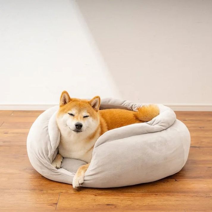 cainz_san's tweet photo. カインズの犬の巣、できました。

動物行動学をもとに開発。
・囲まれたい
・あごを乗せたい
・丸まりたい  
そんな犬の気持ちを詰め込みました。

結果、かなり巣です。 https://t.co/V3xJGCllxB