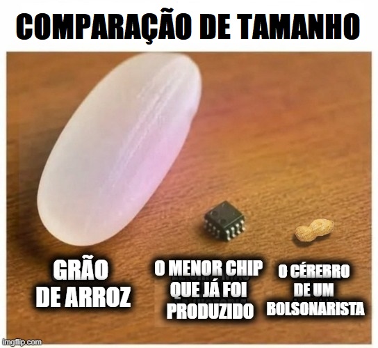 _BrasilPopular's tweet photo. https://t.co/ij794Oon4S