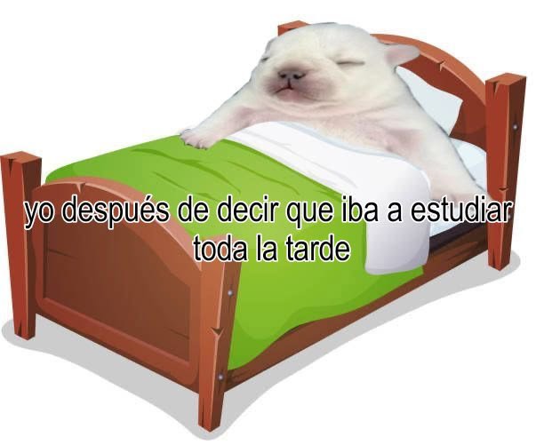 mishipremium's tweet photo. Yo toda la semana pasada, y ahora ando estudiando a última hora 😿 https://t.co/6xsH3WzT0Y