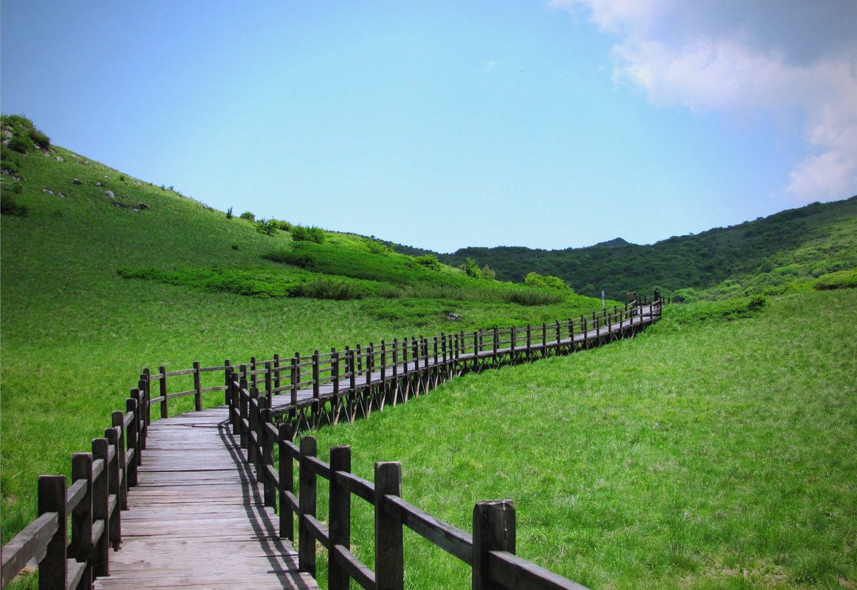 kakaara20's tweet photo. "Had a great day exploring the mysterious Menglu Hill, Zhifang, surrounded by lush green plains that make every step feel refreshing. " https://t.co/Lu9ap1Ee5F