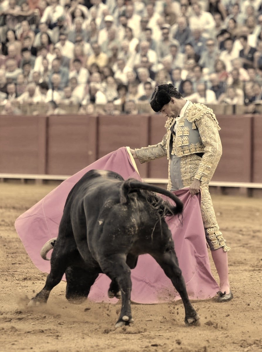 NeoMorantista's tweet photo. Pablo Aguado y Sevilla.

Sueñen con el toreo, buenas noches... https://t.co/n3IwkvqTfr