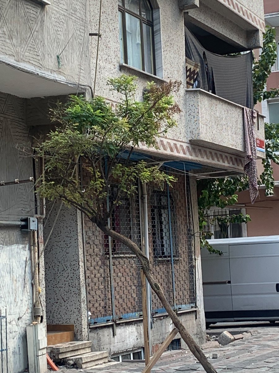 igoshort's tweet photo. PARKIN O TARAFLARDA GEZEN KEDİLERE İŞKENCE EDEN BU OR*SPU ÇOCUĞUNU GÖRDÜĞÜNÜZ YERDE HABER VERİN G*TÜNDEN İŞETECEĞİM SENİ RUHUNU S*KTİMİN İBN*Sİ https://t.co/RMPRFSCfYg