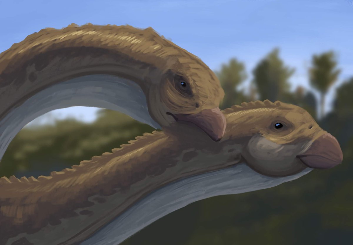 cuscosaur's tweet photo. Daily sketch #3! https://t.co/ASdRo0p0GK
