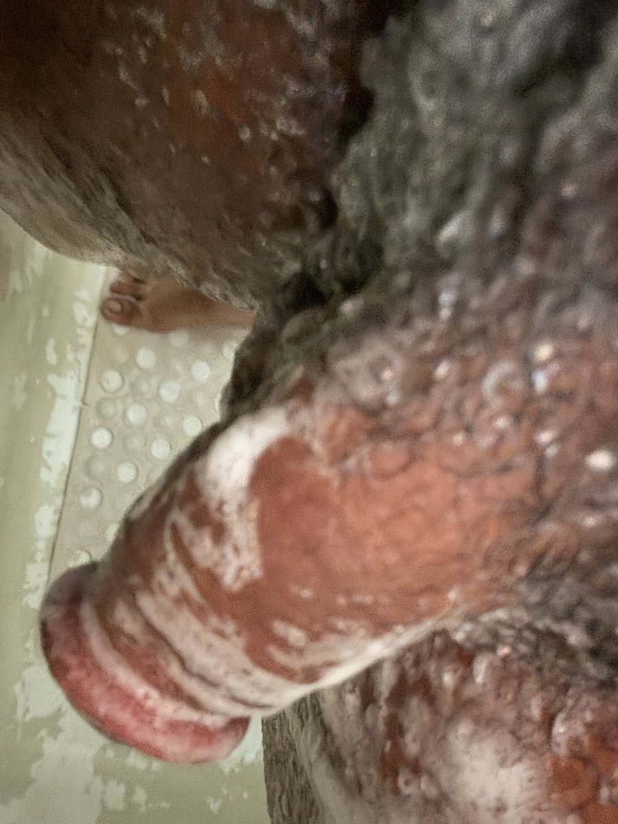 luvswhiteass2's tweet photo. @formerlyamish Im on the way 😈 https://t.co/7gx0WgG0gG