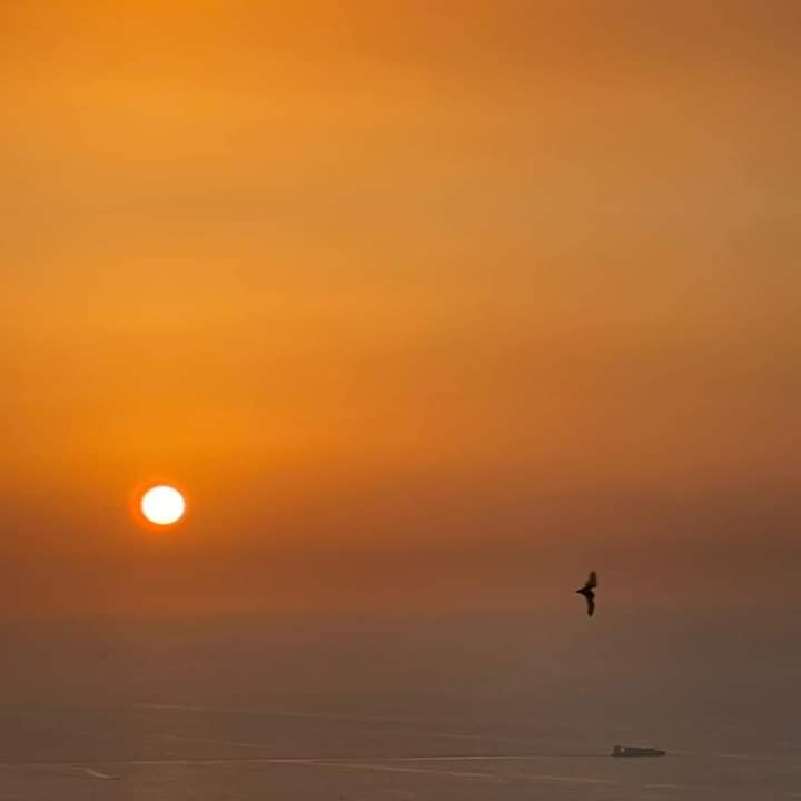 Mirna57903374's tweet photo. Golden hour....
Our sunset.
#Elmina
#sunsetphotography https://t.co/goKjGLirS7