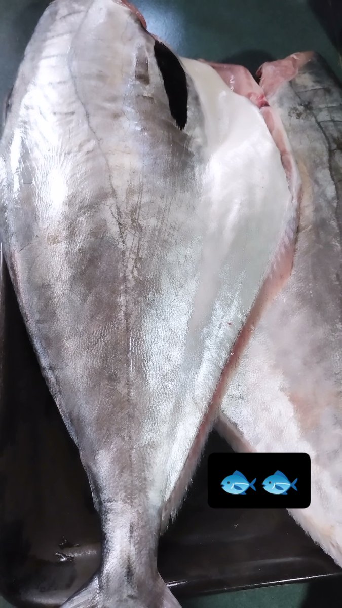 ManuCjs_ok's tweet photo. Hoy voy a comer pescado del glorioso Mar Argentino https://t.co/2gTK3UitO6