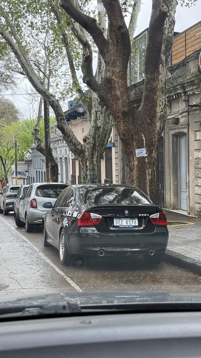 sdarak_'s tweet photo. A alguien se le ocurrió que era una buena idea repatriarse esto, y qué te voy q decir? Tenía toda la razón. Tipazo mal. https://t.co/vqerXLoTOd