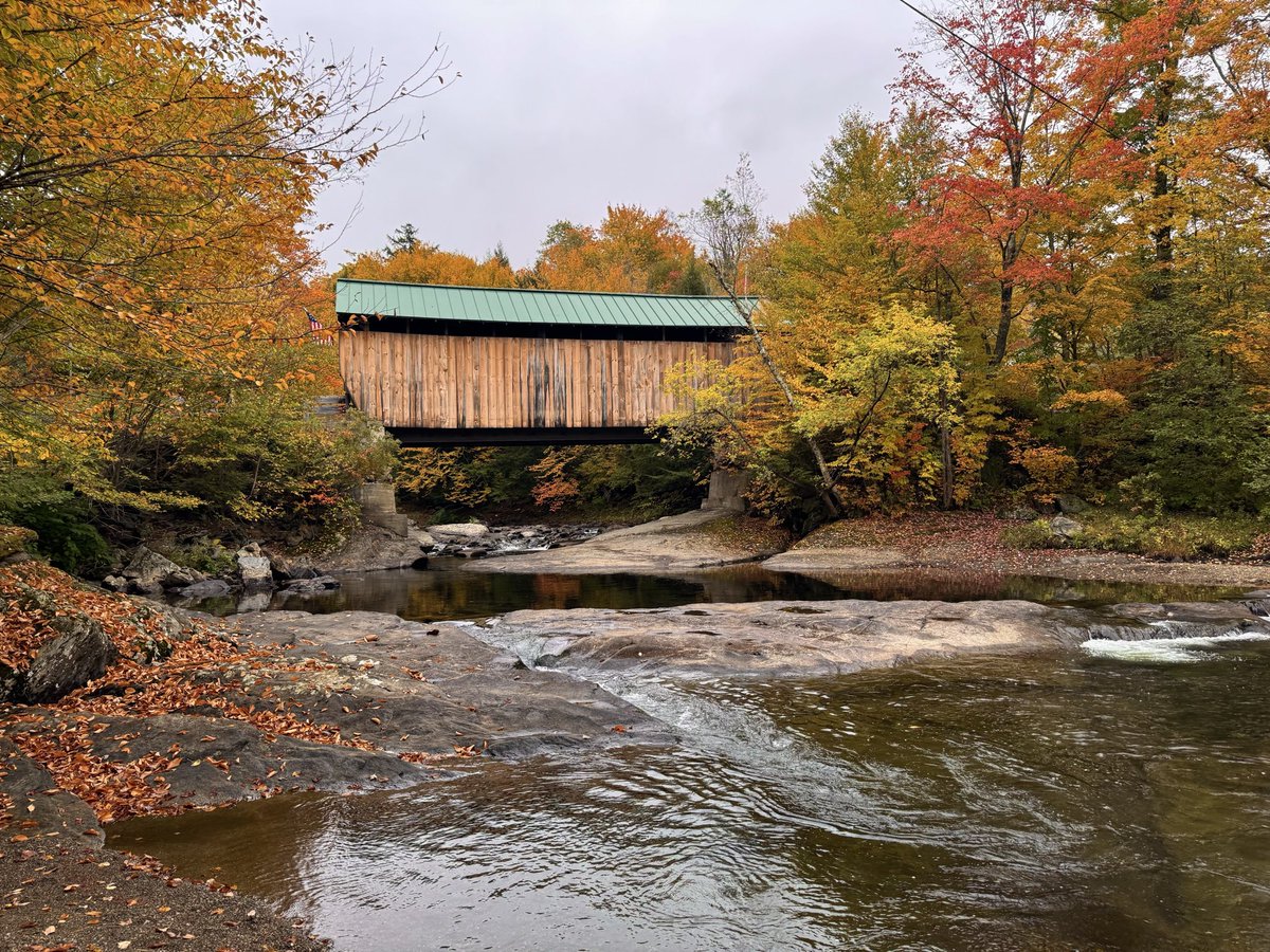 TommyHornWX1's tweet photo. Vermont foliage was on 🔥 today! 
📸 Stowe, VT https://t.co/I12IlKZ75z