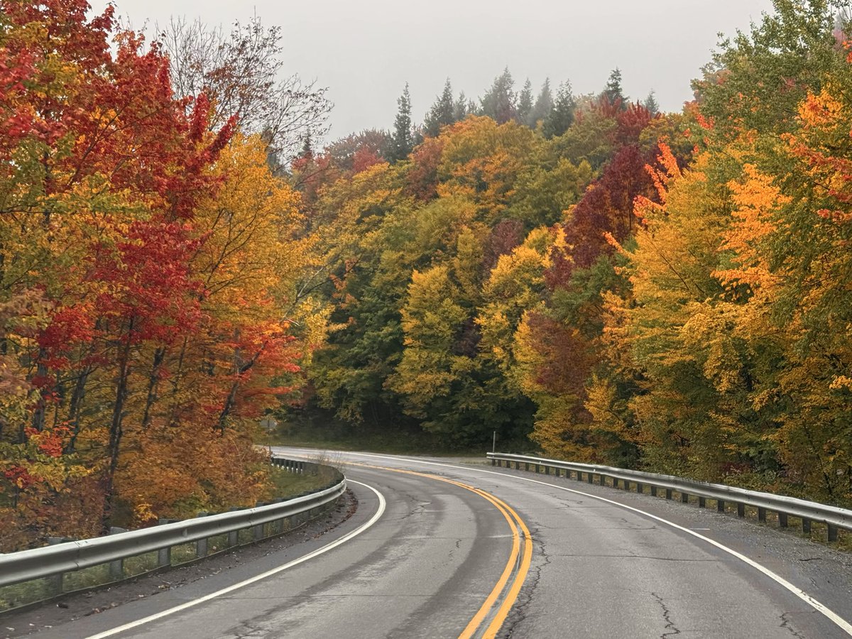 TommyHornWX1's tweet photo. Vermont foliage was on 🔥 today! 
📸 Stowe, VT https://t.co/I12IlKZ75z