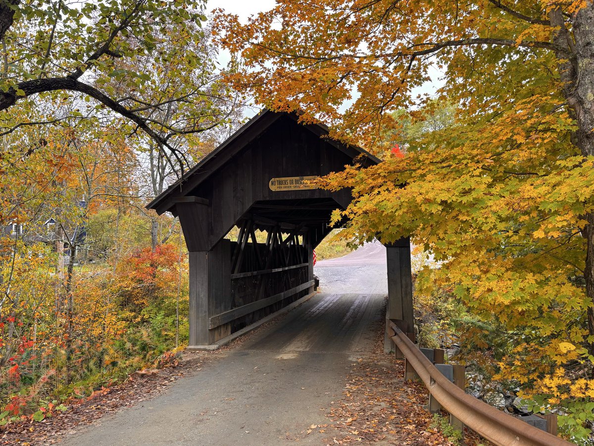 TommyHornWX1's tweet photo. Vermont foliage was on 🔥 today! 
📸 Stowe, VT https://t.co/I12IlKZ75z