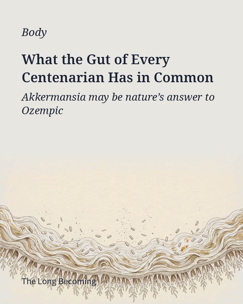 TheLongBecoming's tweet photo. Akkermansia muciniphila keeps showing up in the guts of people who live past 100.

It eats mucus — and builds the wall. Its extracts trigger GLP-1 release from intestinal L-cells, the same hormone Ozempic was built on.

From within. No prescription. 🧵 https://t.co/D8w4BnyCko