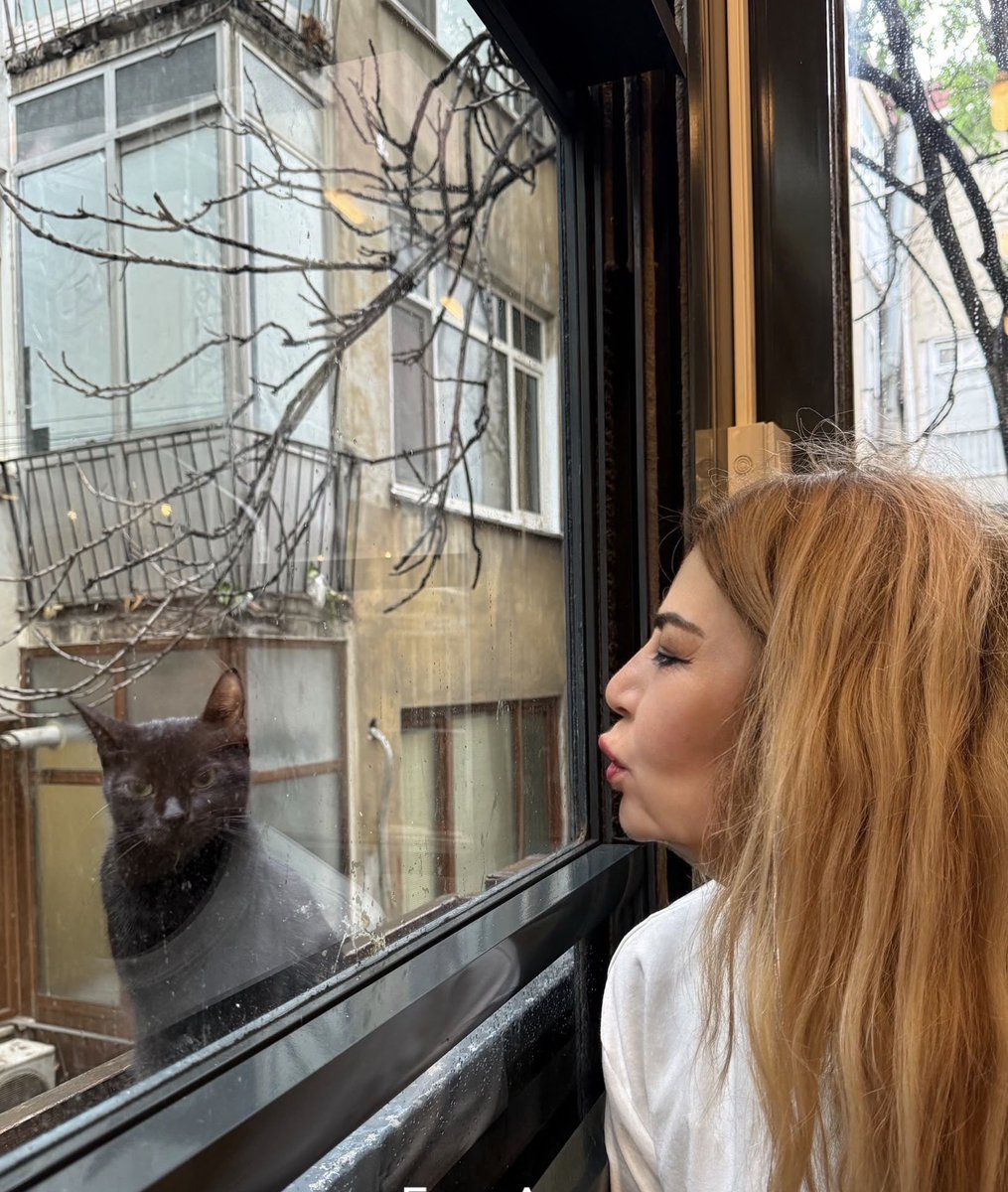 boydakhulya34's tweet photo. Siyah kedi iyi şansmış 
İskoçyada şans Japonya’da aşk 
Fransa’da mucize anlamına geliyormuş yaşadık 
İyigeceler 🖖 https://t.co/uePxhP2s7m