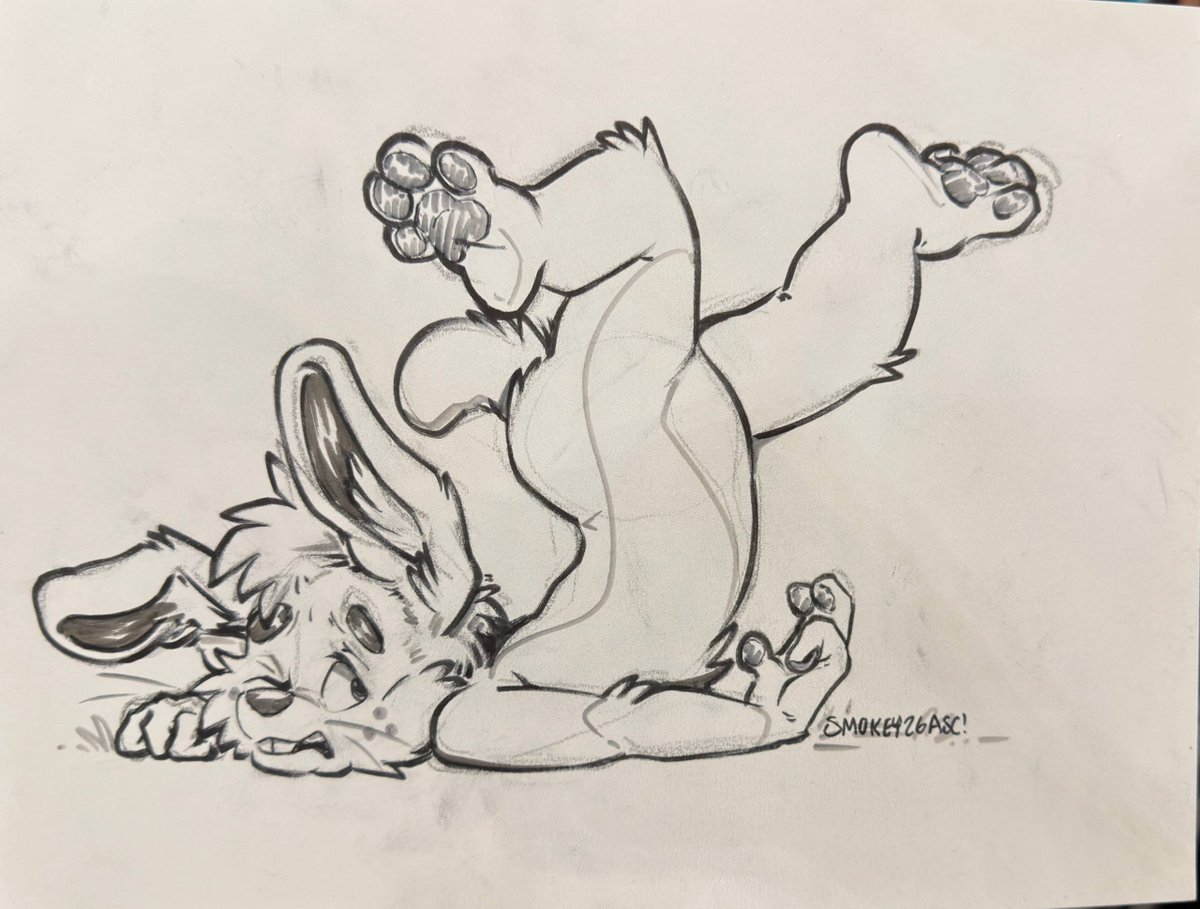 SmokeyAussie's tweet photo. Aww poor Lea! That must have hurt! 😢🐰 https://t.co/CaQMQvmC0o