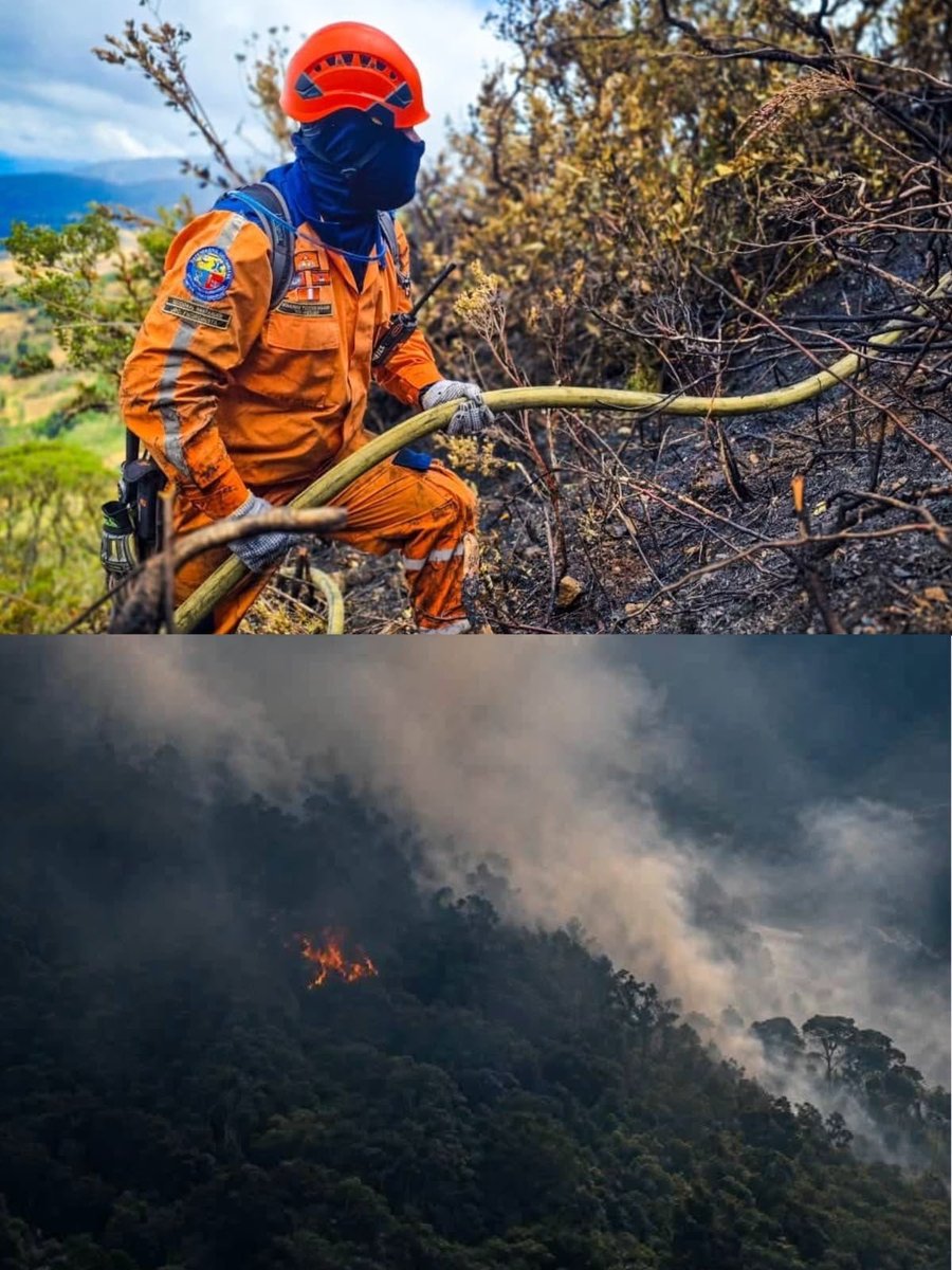 DefensaCivilCo's tweet photo. Dos emergencias simultaneas, en distintas regiones del país. Nuestro voluntarios listos, sosteniendo a Colombia en dos frentes a la vez, Sin detenerse.   
#ListosEnPazOEmergencia🧡 https://t.co/Yya2qwlzQk